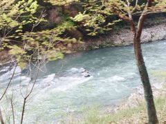 -岚山嵯峨野观光小火车