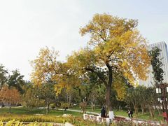 -西海子公园