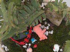 -嘉北郊野公园