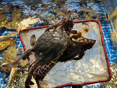 -驻海渔市(置信店)