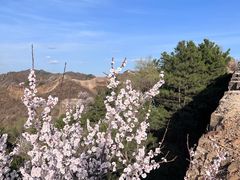 -蟠龙山长城景区