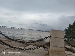 -宝安西湾红树林湿地公园