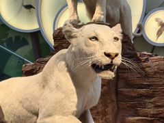 -陕西自然博物馆