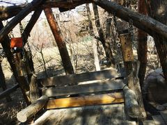 景观位-大鹅岛绿色生态美食园