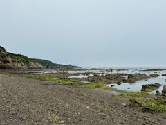 -大连金石滩滨海国家地质公园