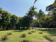-中国科学院西双版纳热带植物园