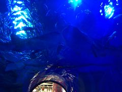 -成都浩海立方海洋公园