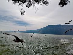 -滇池海埂公园