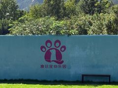 -趣玩宠物乐园寄养训犬训狗游泳池