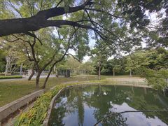 -四海公园(南山区)