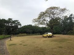 -南沙蒲洲花园