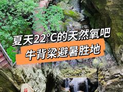 -牛背梁国家森林公园