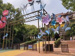 -横店影视城梦幻谷园区