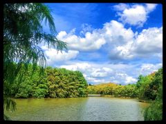 -上海海湾国家森林公园