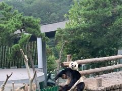 -大连森林动物园