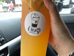 -白日梦奶茶