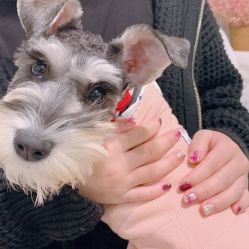 -Adore nail日式美甲美睫