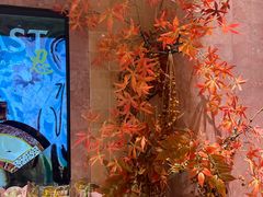 -BEAST野兽派(上海浦东嘉里城店)