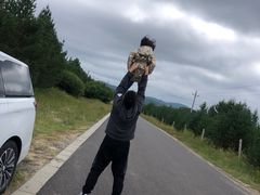 -塞罕坝国家级自然保护区