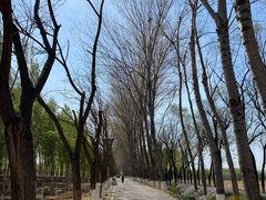-东郊湿地公园
