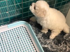 -S Team剧情密室(杭州龙翔桥店)