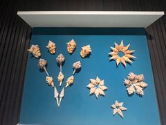 -青岛贝壳博物馆