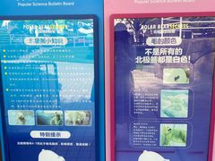 -海合安成都极地海洋公园