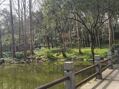 -杭州植物园