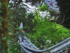 -峨眉山报国寺