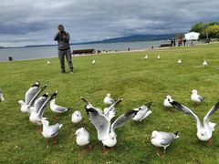 -怀托摩萤火虫洞