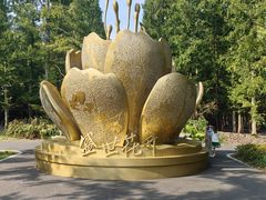 -东平国家森林公园