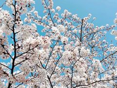 -龙美术馆(西岸馆)