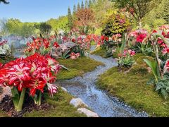 -深圳仙湖植物园