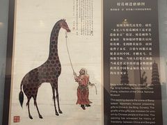 -广东省博物馆