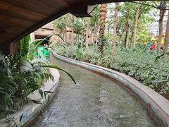 -南宫五洲植物乐园