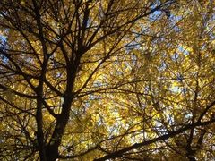 iphone_upload_pic-朝阳公园游乐园