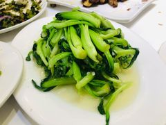 鸡毛菜-小贝壳酒楼(经九路店)
