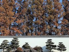 -杭州雅谷泉山庄酒店-餐厅