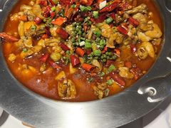 -美蛙四季(望京凯德茂店)