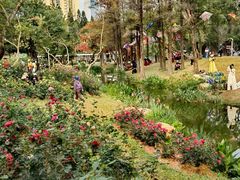 -人民公园(罗湖区)