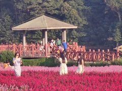 -广州市石门国家森林公园