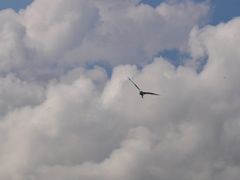 -东平洲海岸公园