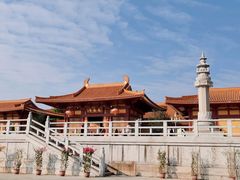 -三水森林公园