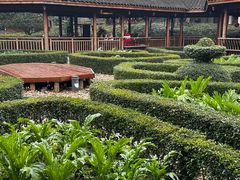-青城山六善酒店·紫氣園中餐厅