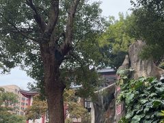 -鸿山公园