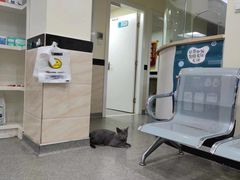 -安安宠医·安宠宠物医院