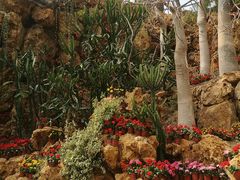 -南通洲际绿博园