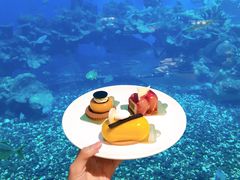 -海棠湾洲际-涛·海底餐厅·美人鱼·自助餐·海底隧道