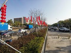 -宝安西湾红树林湿地公园