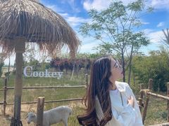 -茯茶镇